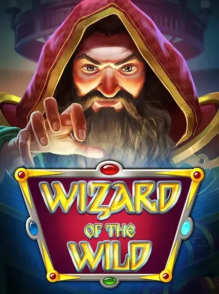 Wizardofthewild kolikkopeli
